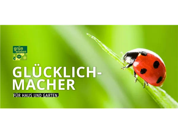 Geschenkgutschein Grün erleben Geschenkgutschein Grün erleben